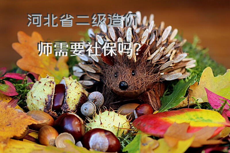 河北省二级造价师需要社保吗？