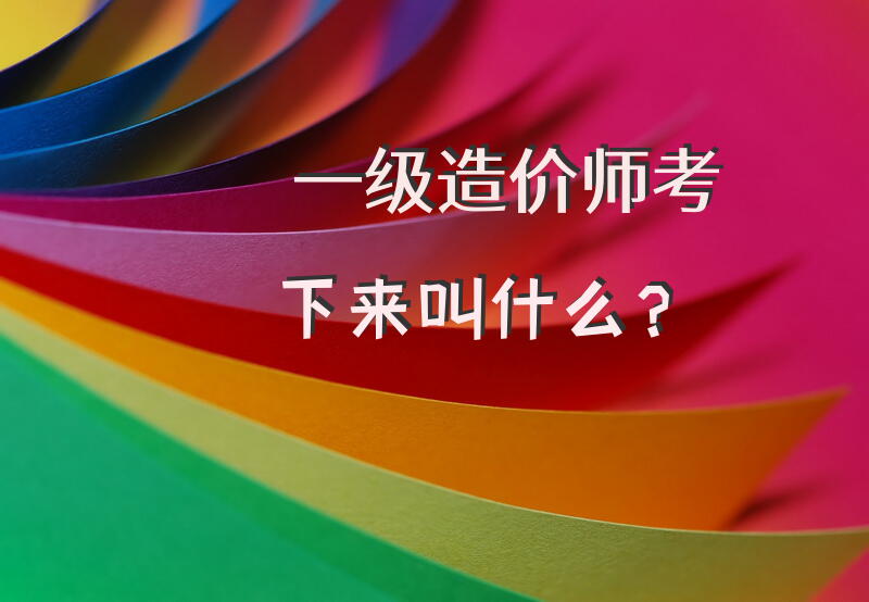一级造价师考下来叫什么？