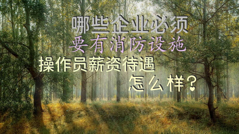 哪些企业必须要有消防设施操作员，薪资待遇怎么样？