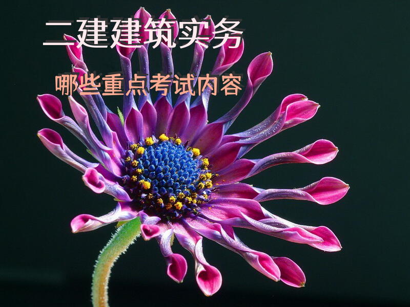 二建建筑实务哪些重点考试内容？