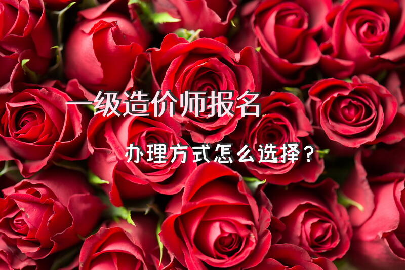一级造价师报名办理方式怎么选择？