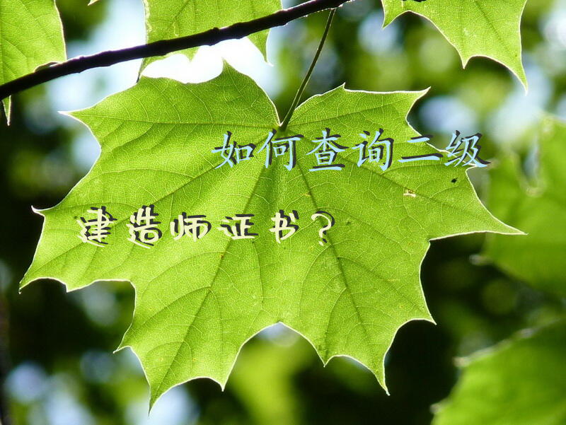 如何查询二级建造师证书？