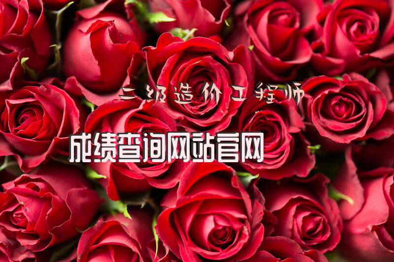 二级造价工程师成绩查询网站官网