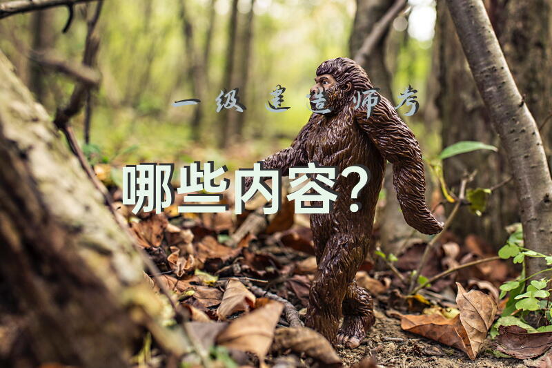 一级建造师考哪些内容？