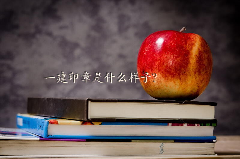一建印章是什么样子？