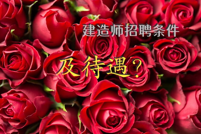 建造师招聘条件及待遇？