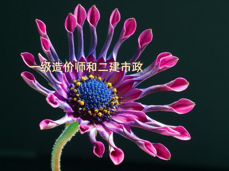 一级造价师和二建市政