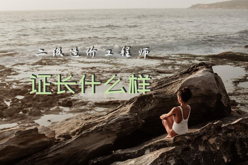 二级造价工程师证长什么样