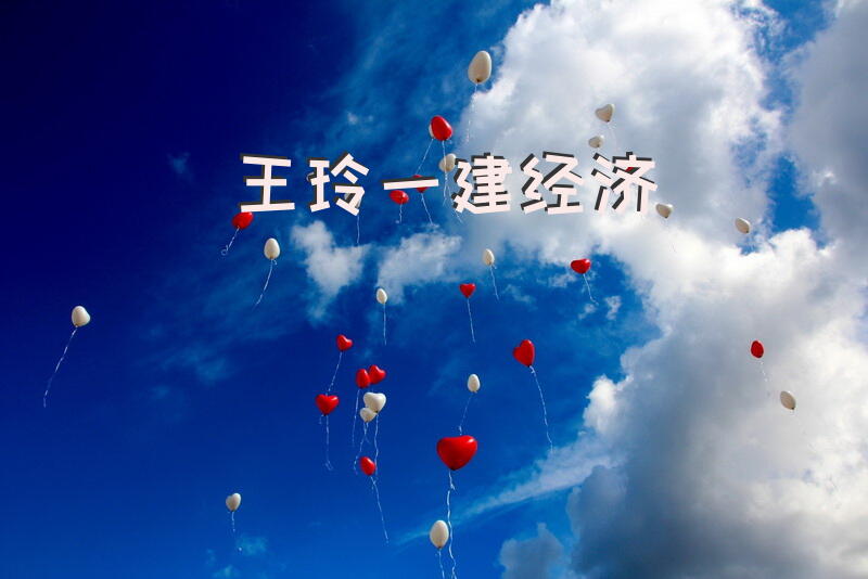 王玲一建经济