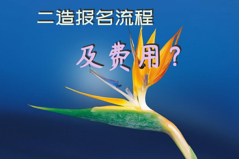 二造报名流程及费用？