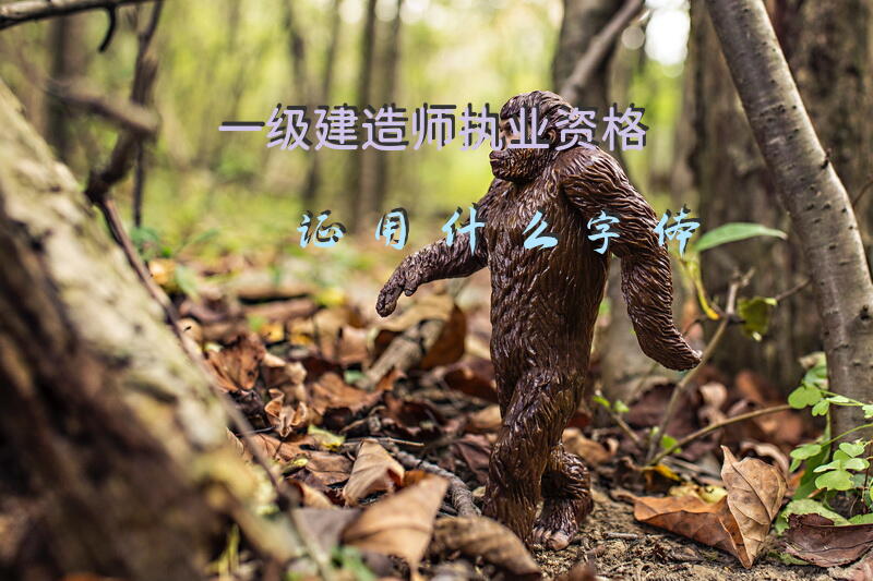 一级建造师执业资格证用什么字体
