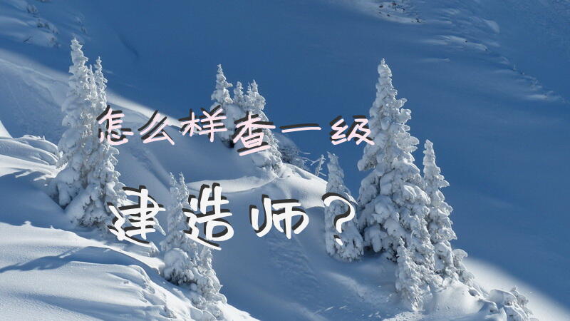怎么样查一级建造师？