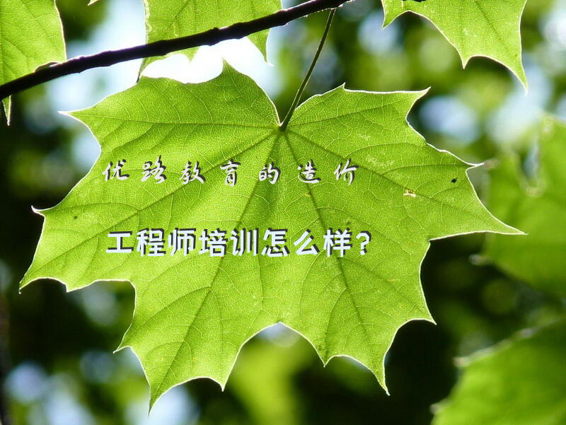优路教育的造价工程师培训怎么样？