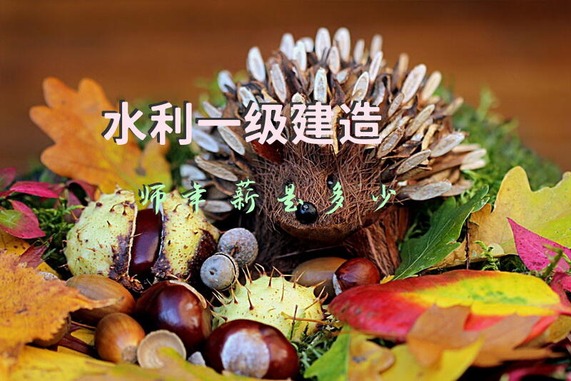 水利一级建造师年薪是多少