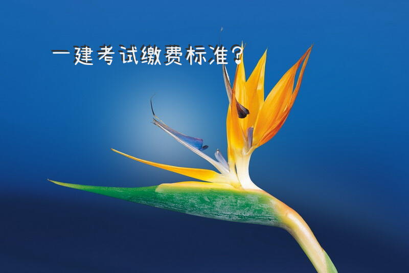 一建考试缴费标准？
