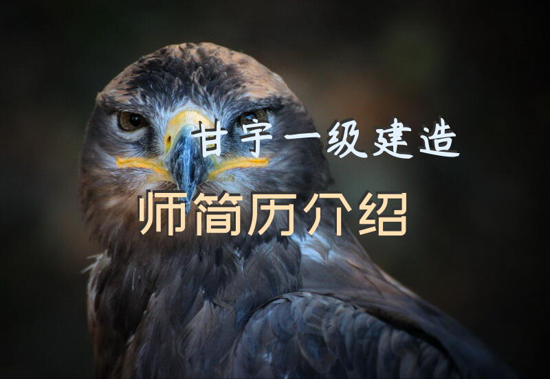 甘宇一级建造师简历介绍