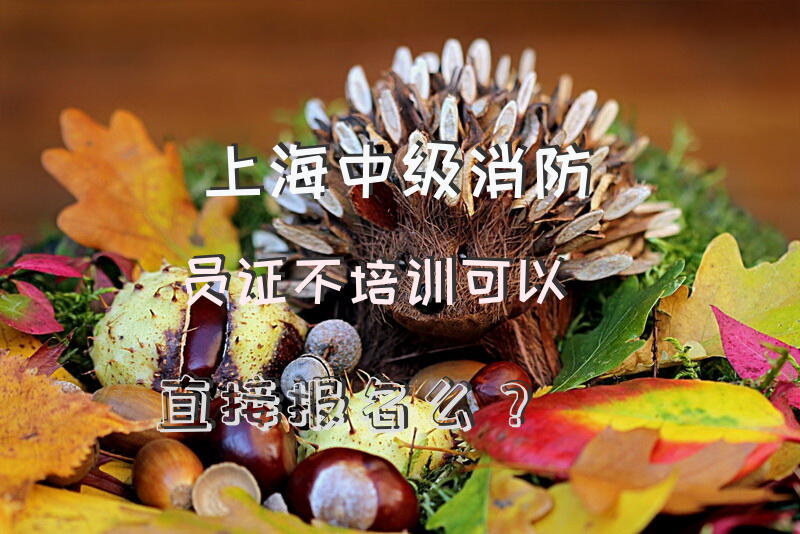 上海中级消防员证不培训可以直接报名么？