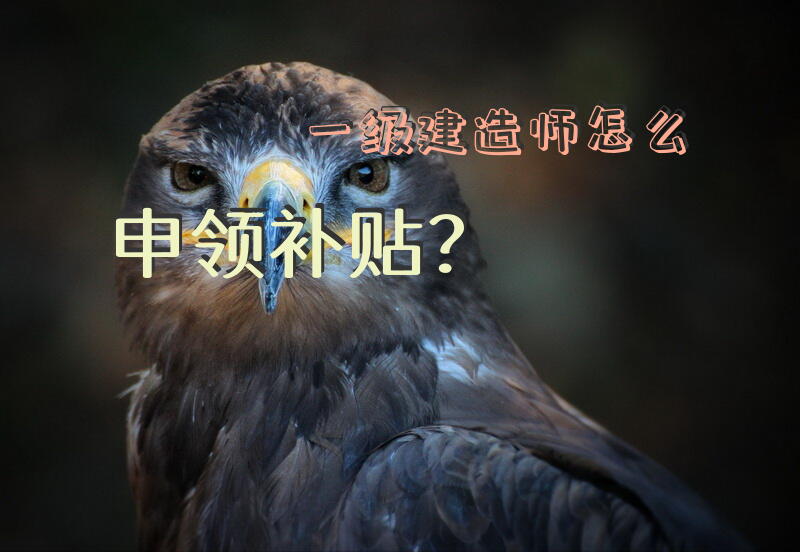 一级建造师怎么申领补贴？