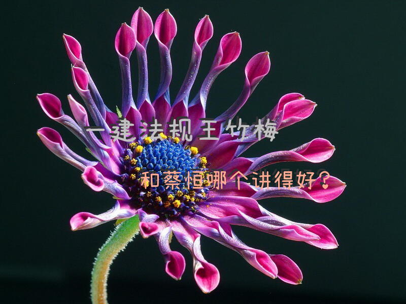 一建法规王竹梅和蔡恒哪个讲得好？