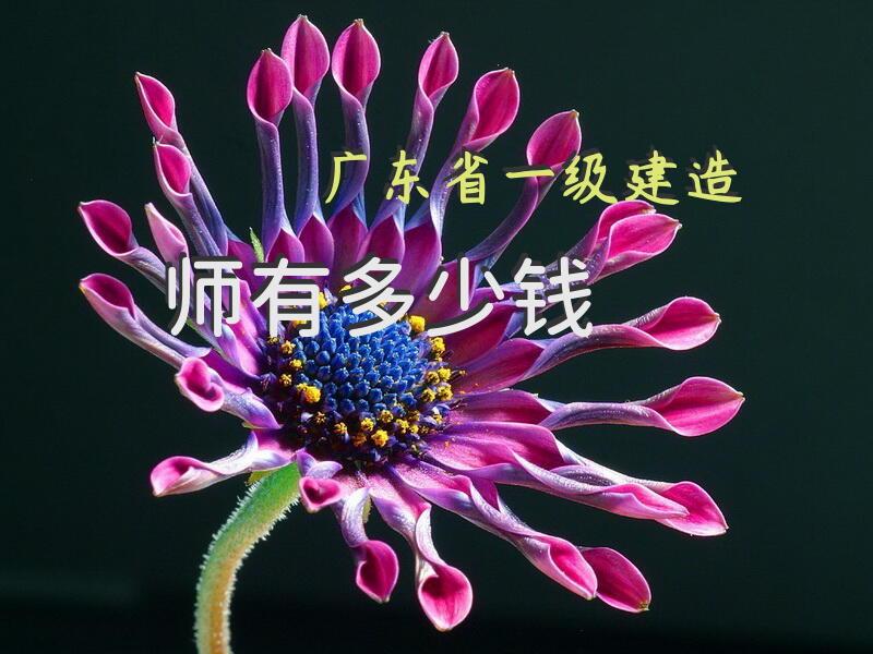 广东省一级建造师有多少钱