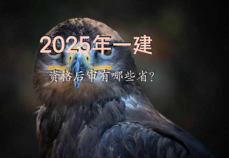 2025年一建资格后审有哪些省？