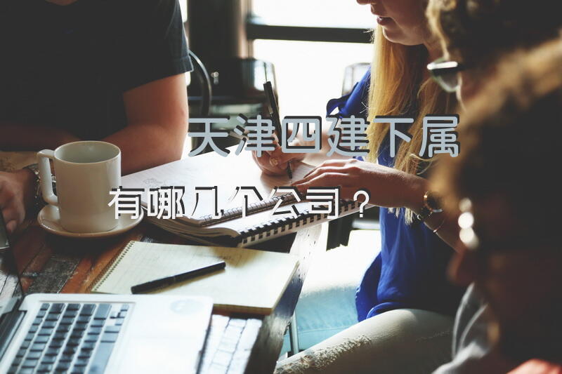 天津四建下属有哪几个公司？