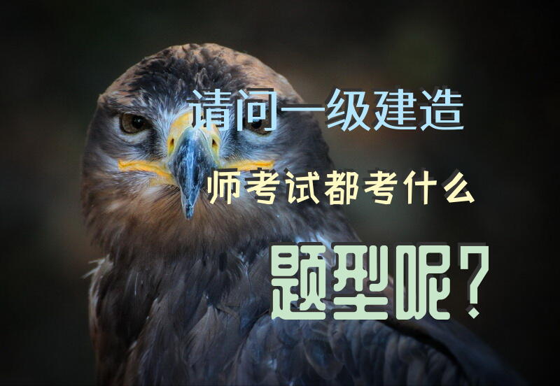 请问一级建造师考试都考什么题型呢？