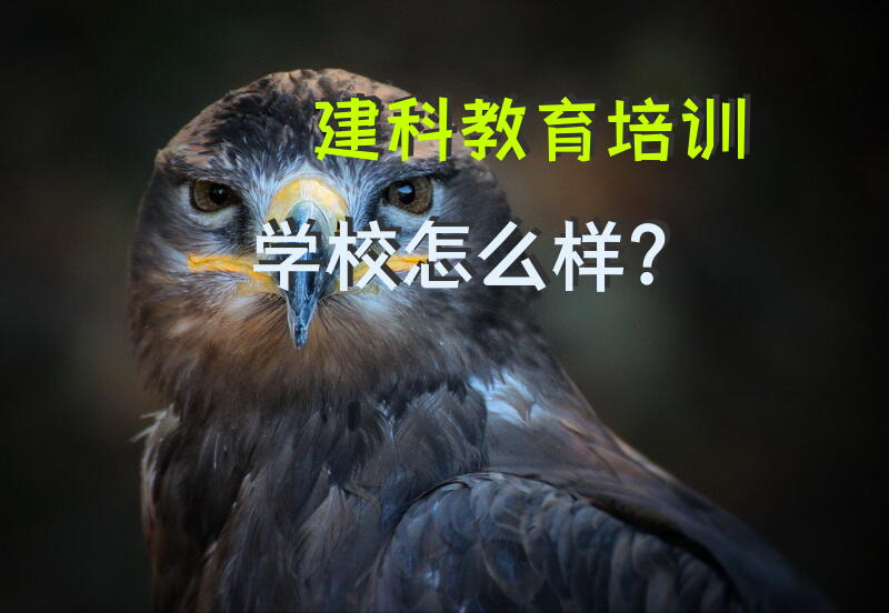 建科教育培训学校怎么样？