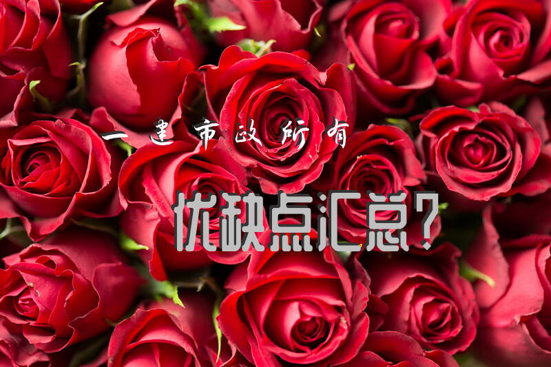 一建市政所有优缺点汇总？