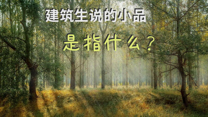 建筑生说的“小品”是指什么？